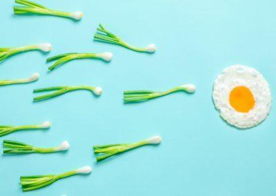Descubrir los secretos de la fertilidad a través de la dieta